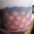 ibucyacya's cooksnap of when they made 梅干し漬けの記録　塩分12％.