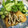 冷蔵庫レスキュー隊's cooksnap of when they made 鶏ときのこのソテー☆和風甘辛ソース♪.