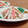 Yukiまむ's cooksnap of when they made ごぼうと人参のごままよサラダ.