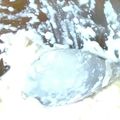 黄桃緑竹's cooksnap of when they made 豆腐タルタルソース.