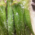 ぷんしゅ's cooksnap of when they made 新鮮なオクラは産毛が痛っ!私の下処理法.