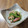 やなぎだまこ's cooksnap of when they made 副菜に♡簡単！豆苗とウィンナーの炒め物♡.