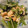 ☆baobab☆'s cooksnap of when they made 水菜と厚揚げのわさび和えサラダ.