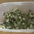 mpooh65's cooksnap of when they made 大根の葉　サバ缶和え.
