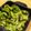 piko1223's cooksnap of when they made やみつき！おつまみレタス〜レタス消費〜.
