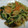 レオミウ's cooksnap of when they made たらの中華風野菜あんかけ.