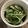 ジジっぷー's cooksnap of when they made 水菜と塩昆布の漬物.