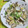 mmameco's cooksnap of when they made 簡単　たっぷりきのことあさりの酒蒸し.