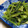 okapi☆☆'s cooksnap of when they made 簡単美味♡ほうれん草のごま和え.