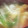 あゆたっくん's cooksnap of when they made 大根 水菜 油揚げの味噌汁^^.