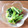 麻's cooksnap of when they made ✿副菜 作り置き小松菜のナムル✿.