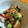 nikiGFK2O0's cooksnap of when they made タコとオクラのさっぱり梅和え.