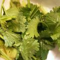 meguミ's cooksnap of when they made パクチーだけのシンプルサラダ.