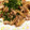 みるたんく☆'s cooksnap of when they made ご飯がすすむ！大根と薄切り豚肉の甘辛炒め.