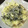 240915's cooksnap of when they made のせるだけ！厚揚げとしらすのチーズ焼き.
