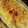 クックRGHNT9☆'s cooksnap of when they made 鮭とほうれん草のグラタン.
