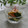 まろんかふぇ's cooksnap of when they made 叩ききゅうりとちくわのお手軽韓国風ナムル.