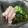 うずら's cooksnap of when they made カニときゅうりの酢の物.
