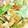 ゆー1024's cooksnap of when they made 豆腐で野菜チャンプルー.