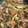 ammonite's cooksnap of when they made 甜麺醤のコク旨豚キムチ炒め★.