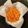 Hirarinn☆'s cooksnap of when they made いつでもニンジン♪.