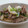 kachimachi's cooksnap of when they made 長いもと豚肉のバターしょうゆ炒め.