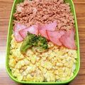 ☆魔矢☆'s cooksnap of when they made 前夜に作れば楽ちん！鶏そぼろ弁当.