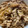 クック18MWHB☆'s cooksnap of when they made 10分で簡単！柔らか豚の生姜焼き.