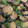 snow012's cooksnap of when they made ナスとピーマンの味噌炒め.
