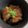 sugar915's cooksnap of when they made 豚の角煮【圧力鍋】.