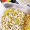 メルのキッチン's cooksnap of when they made しらすのオリーブ油漬け.