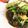 horseland's cooksnap of when they made やみつき！ホルモンとニラ炒め.