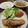 koiko亭's cooksnap of when they made 秋鮭のバジルムニエル.