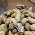 メルメルメル's cooksnap of when they made 活力鍋で生落花生を茹でてみよう！.