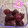 horseland's cooksnap of when they made ★ぶどう♡長持ちさせる保存方法.