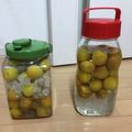 わのなの's cooksnap of when they made ●自家製●完熟南高梅のにごり完熟梅酒.