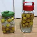 わのなの's cooksnap of when they made ●自家製●完熟南高梅のにごり完熟梅酒.