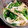 ルぴあ's cooksnap of when they made ほうれん草・もやしの酢の物♪レンジで簡単.