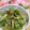 masakohママ's cooksnap of when they made 中華くらげと　ちくわと　野菜.