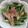 シビリキン's cooksnap of when they made 簡単☆水菜と茸のあっさり煮浸し柚子胡椒で.