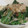 檜佐木ぐるぐる's cooksnap of when they made 和風だしDEおひたし.