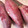Nya6nya6's cooksnap of when they made 簡単☆焼き芋パート2(無水鍋QC使用).