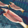 環ーたまきー's cooksnap of when they made 干物を作りましょう♪.