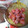 ひっこ's cooksnap of when they made みずみずしいままの　ブドウの保存法.