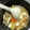 クックZ8J4H4☆'s cooksnap of when they made えのき 豆腐 油揚げ 水菜の味噌汁^^.