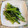 チロチロル's cooksnap of when they made 蕪の葉のゴマ和え.