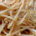 キロリン's cooksnap of when they made もやしのキムチ炒め.