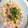 ぴかぴかぴかぴか's cooksnap of when they made もやしと卵の中華風サラダ.