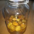 nikonikoo's cooksnap of when they made 我が家の梅蜂蜜シロップ.