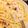 Daro's cooksnap of when they made ワンポット☆すじこのクリームパスタ.